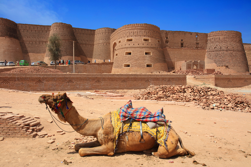 Derawar Fort